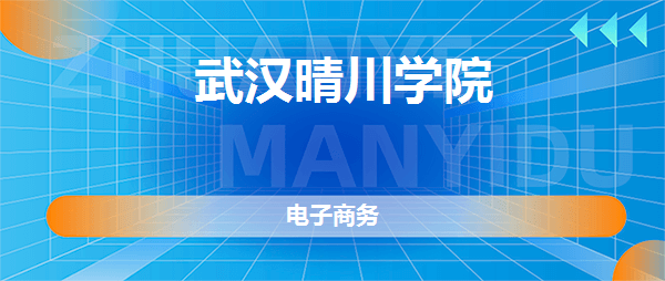 武汉晴川学院电子商务专业好不好全国排名专业介绍网友评价