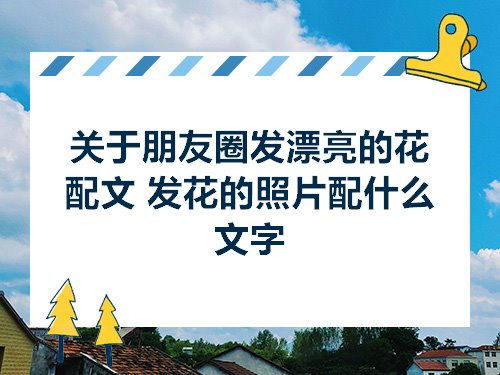 关于朋友圈发漂亮的花配文发花的照片配什么文字