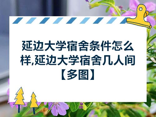 延边大学宿舍条件怎么样延边大学宿舍几人间多图