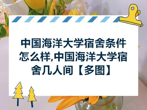 中国海洋大学宿舍条件怎么样,中国海洋大学宿舍几人间【多图】_山东