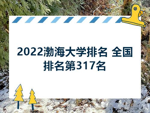 2022渤海大学排名全国排名第317名