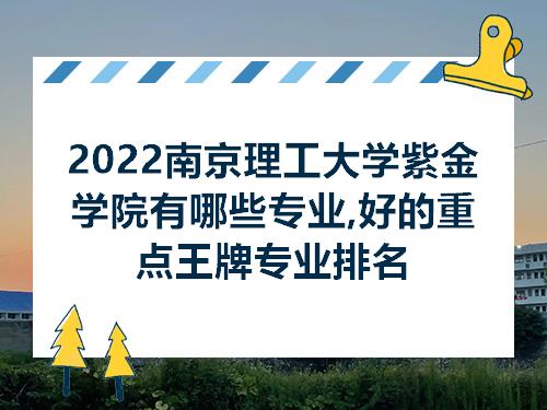 2022南京理工大学紫金学院有哪些专业好的重点王牌专业排名