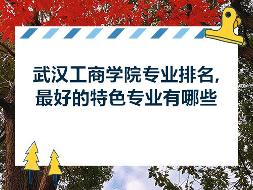 武汉工商学院专业排名最好的特色专业有哪些