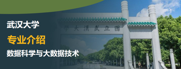 武汉大学,专业介绍,数据科学与大数据技术