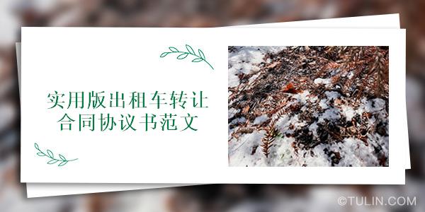 实用版出租车转让合同协议书范文
